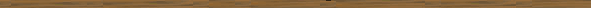 Barra.gif (1546 byte)